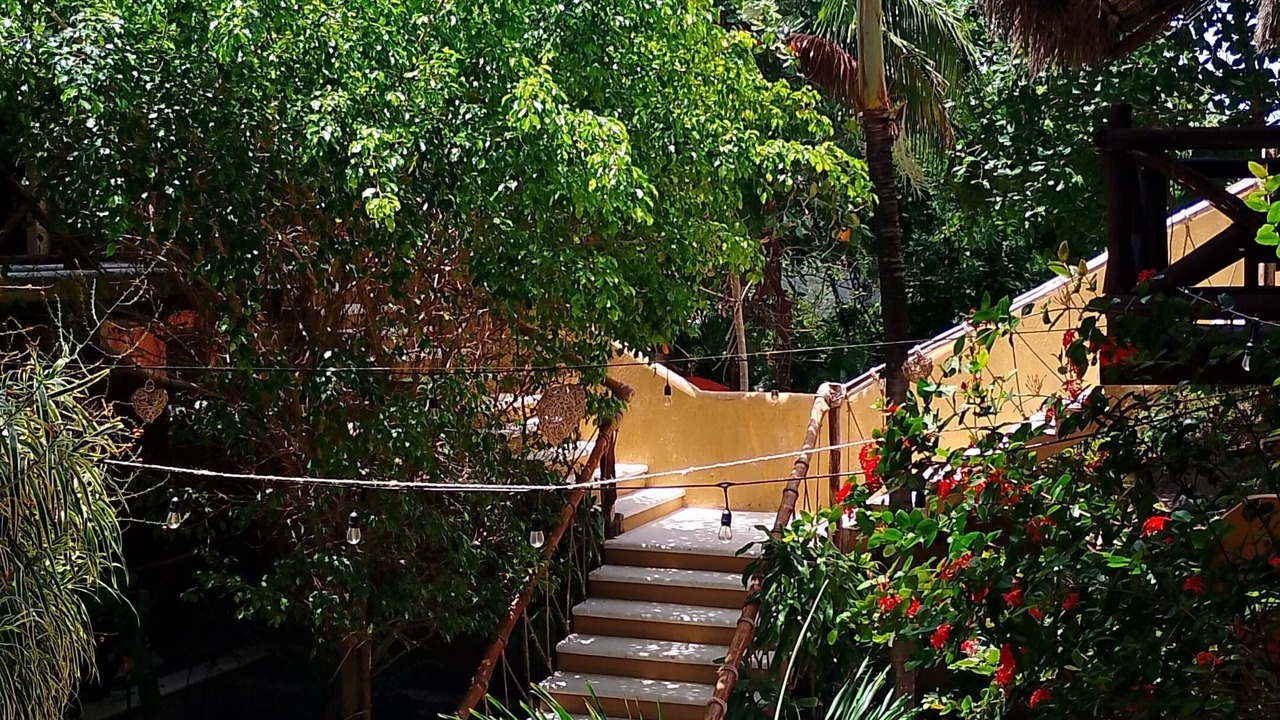 Photo of Outdoor in Mahahual