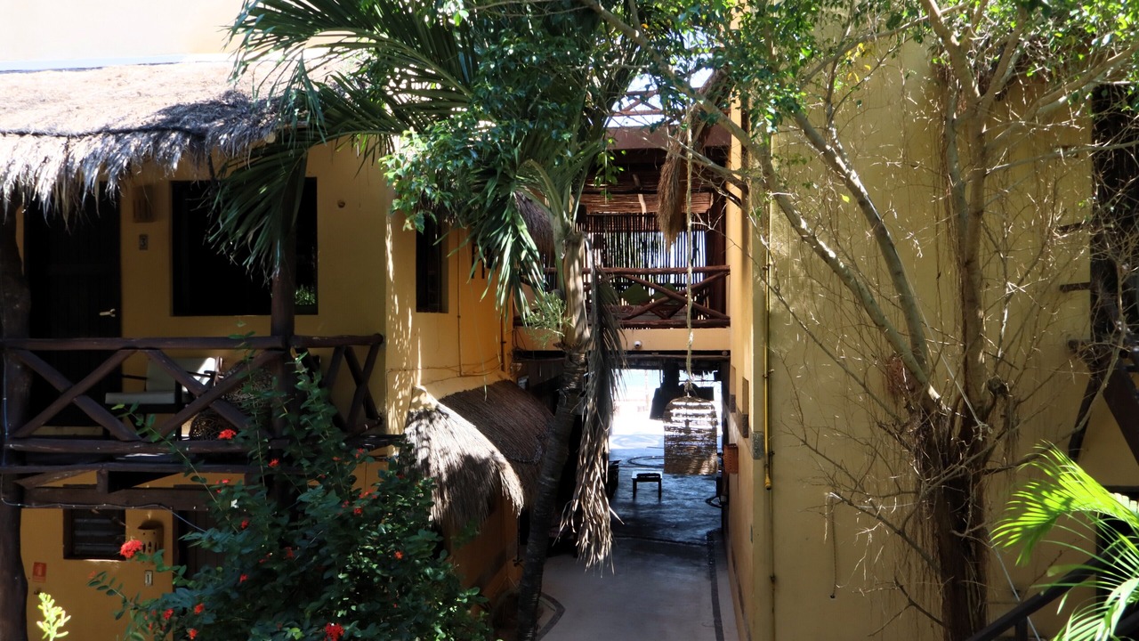 Photo of Outdoor in Mahahual