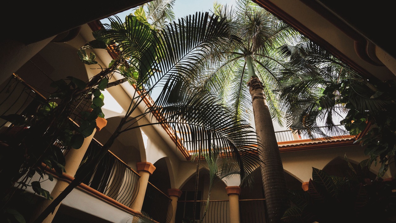 Photo of Outdoor in Centro