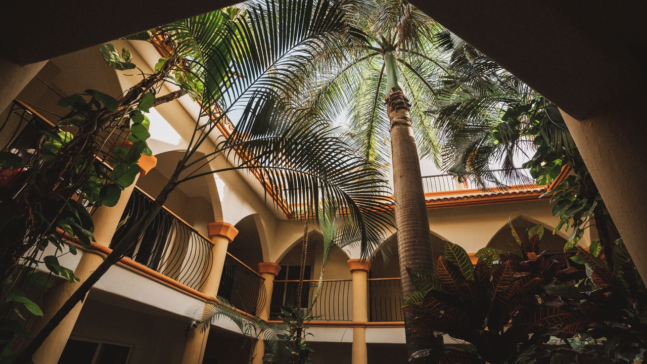 Photo of Outdoor in Centro