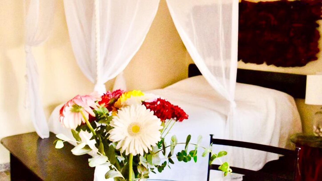 Photo of Bedroom in Centro