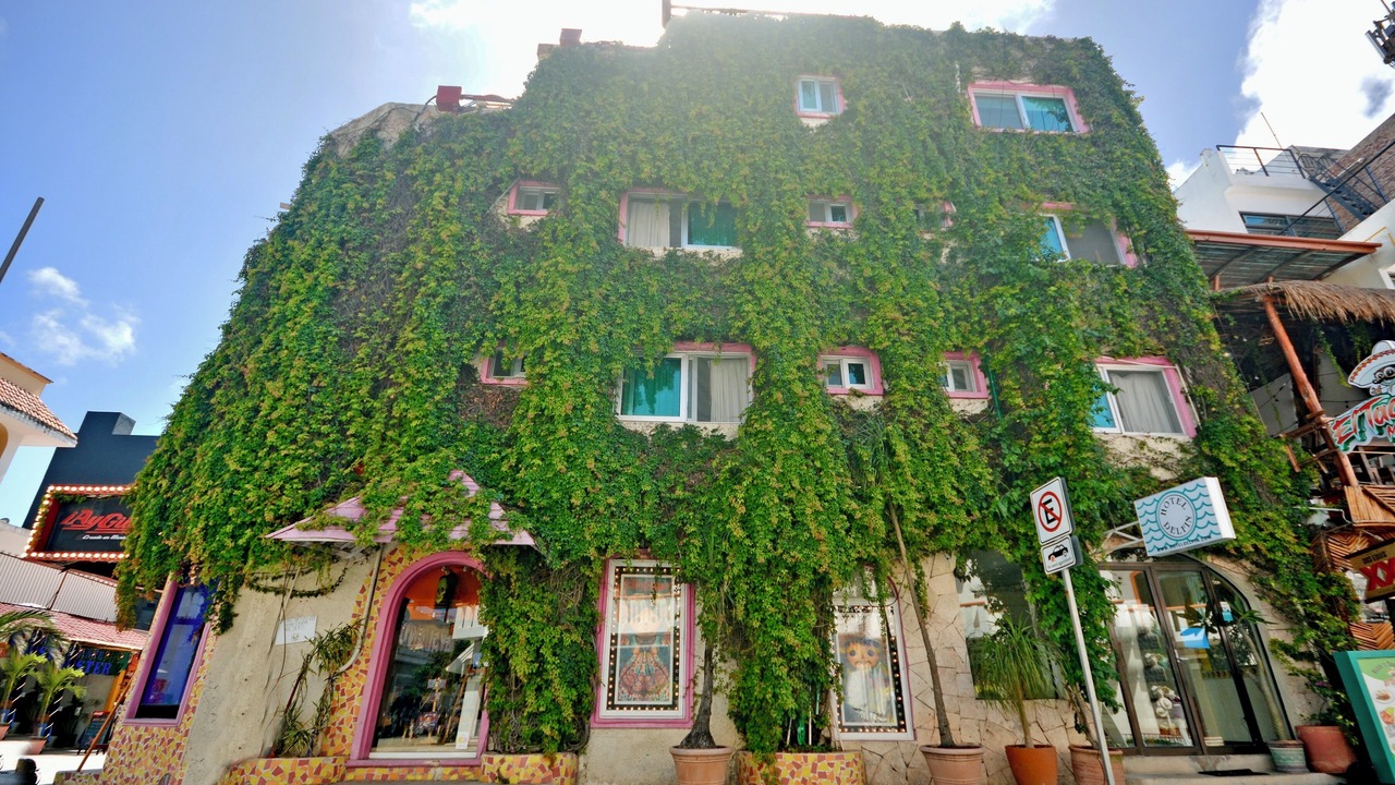 Photo of Outdoor in Centro