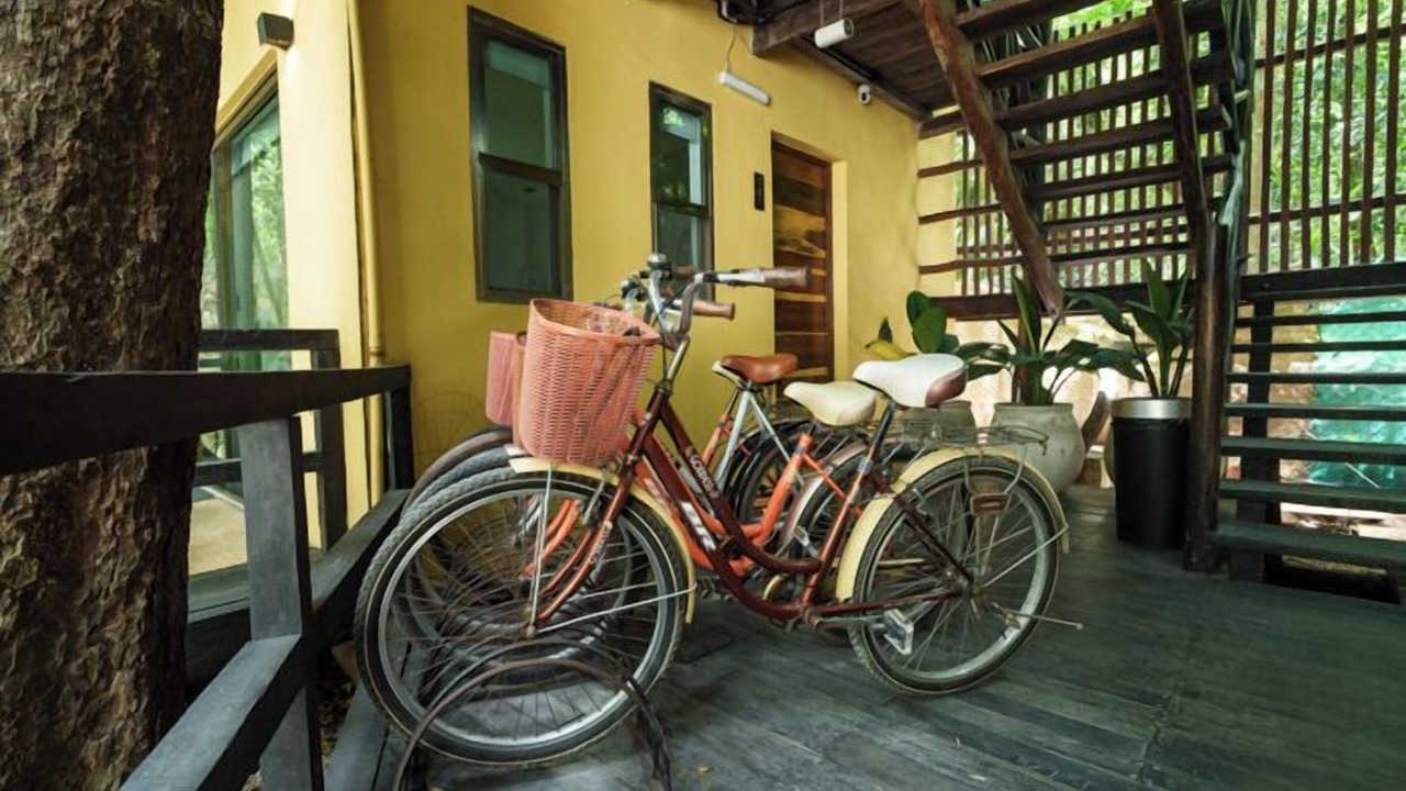 Photo of Outdoor in Xcaret