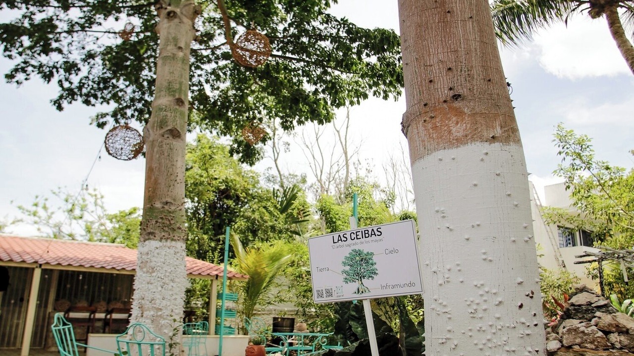 Photo of Outdoor in Izamal