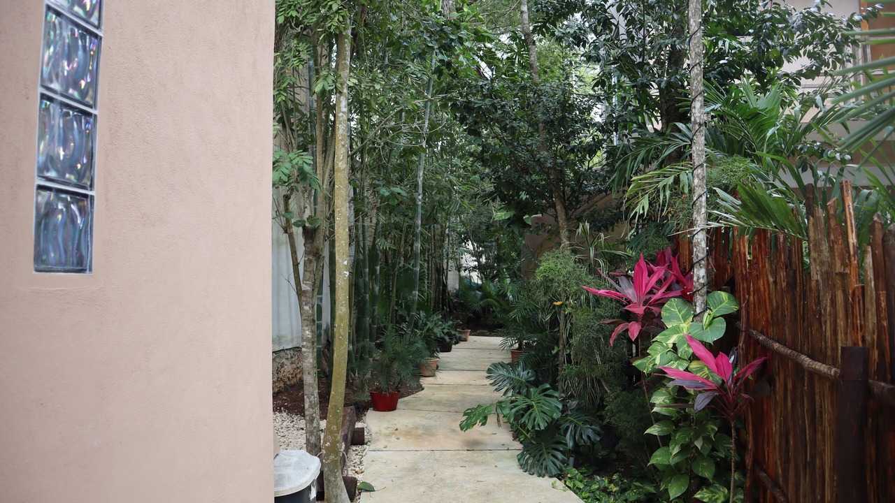 Photo of Outdoor in Cancun