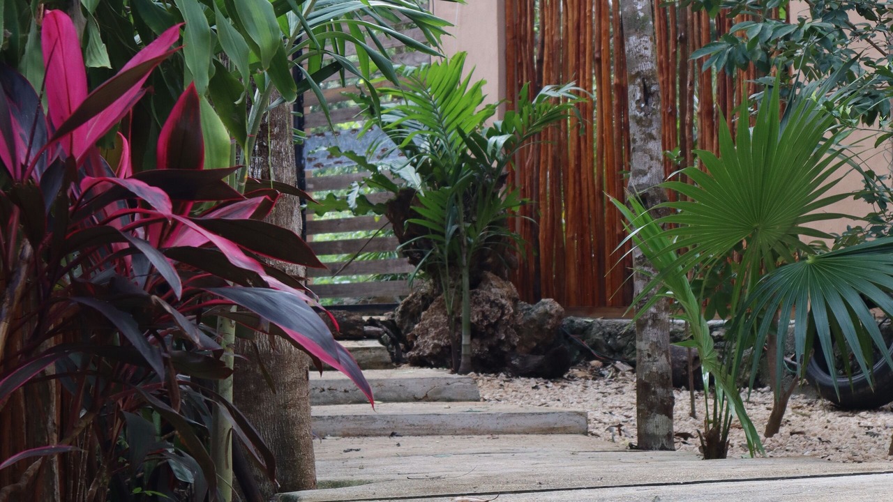 Photo of Outdoor in Cancun