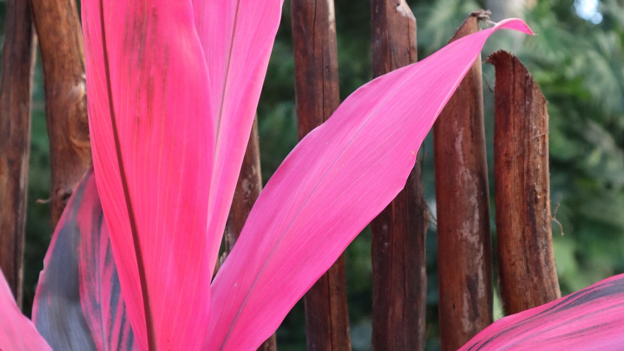 Photo of Outdoor in Cancun