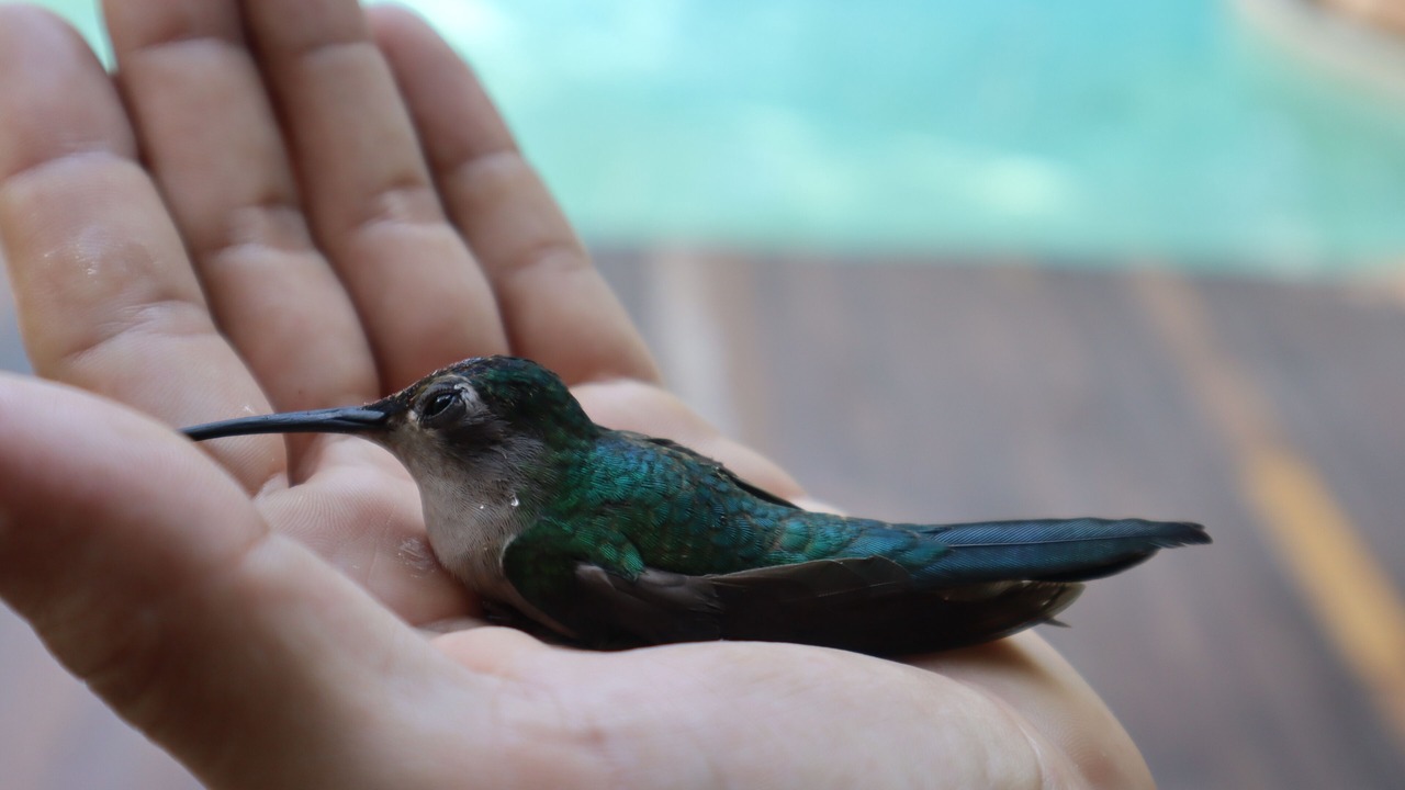 Photo of Others in Cancun
