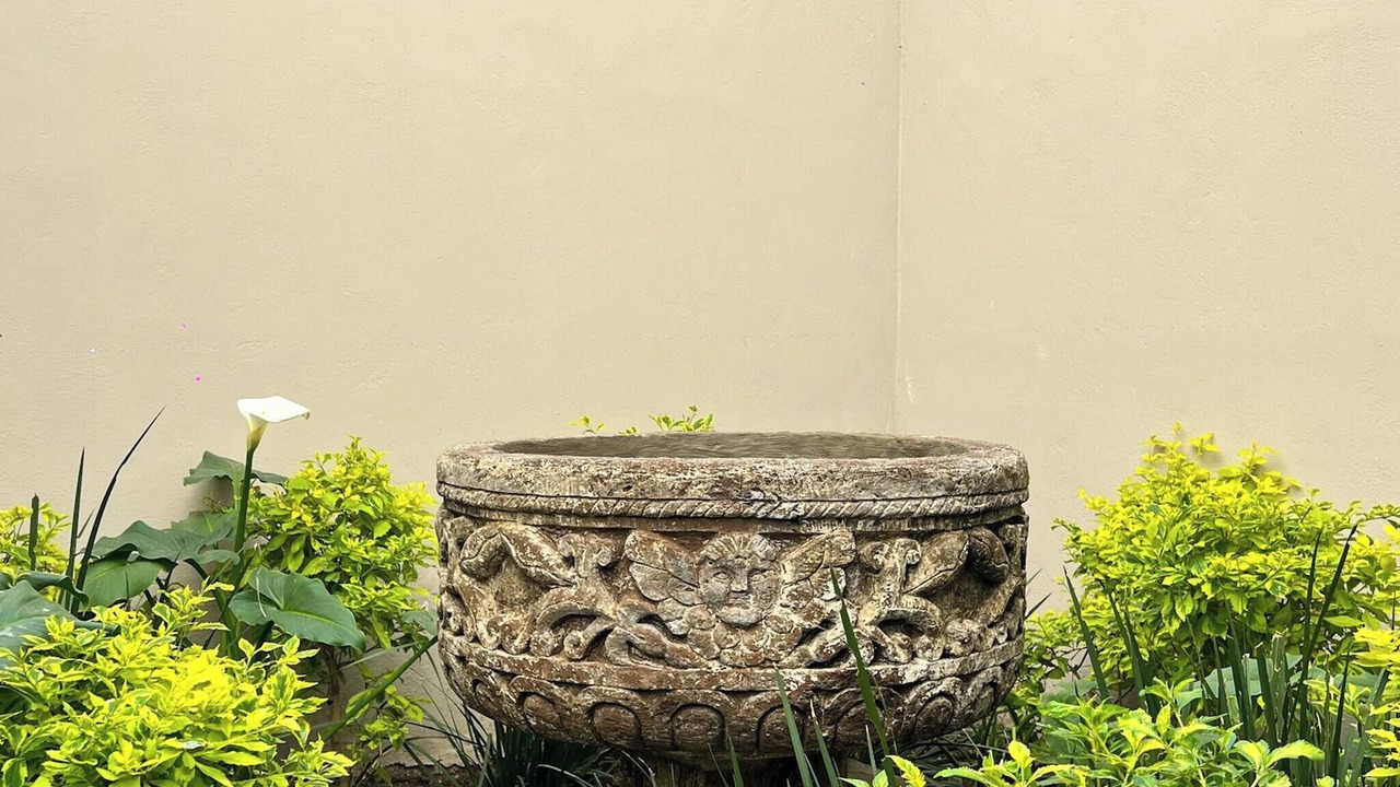 Photo of Outdoor in El Paraiso