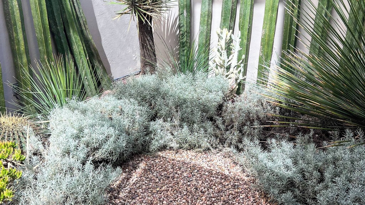 Photo of Outdoor in El Paraiso