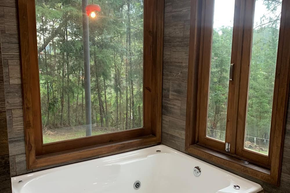 Photo of Bathroom in Mazamitla