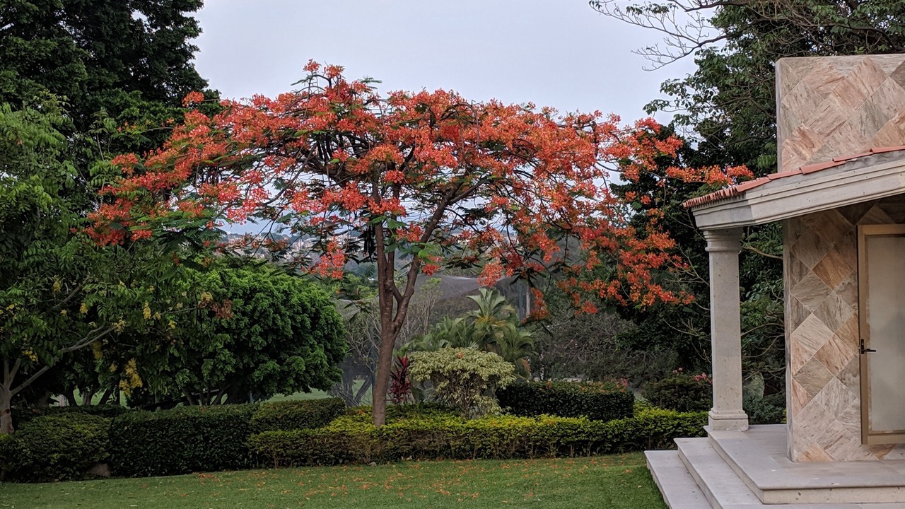Photo of Outdoor in Cuernavaca