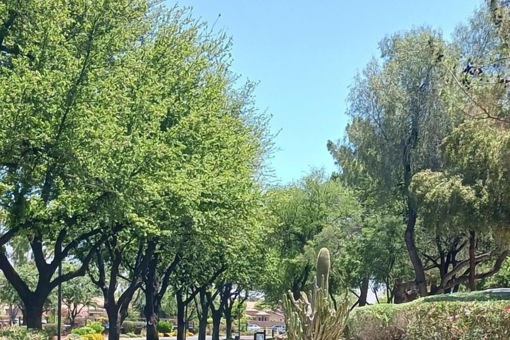 Photo of Others in Glendale Sports and Entertainment District