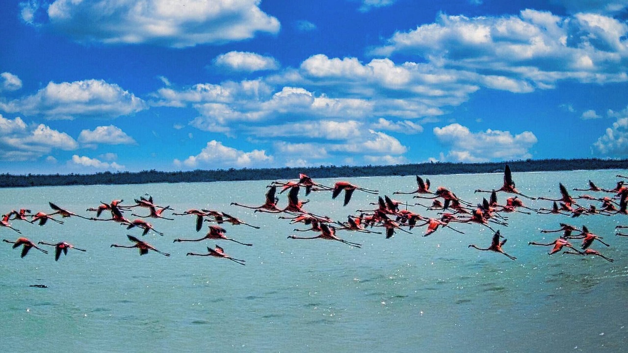Photo of Outdoor in El Cuyo