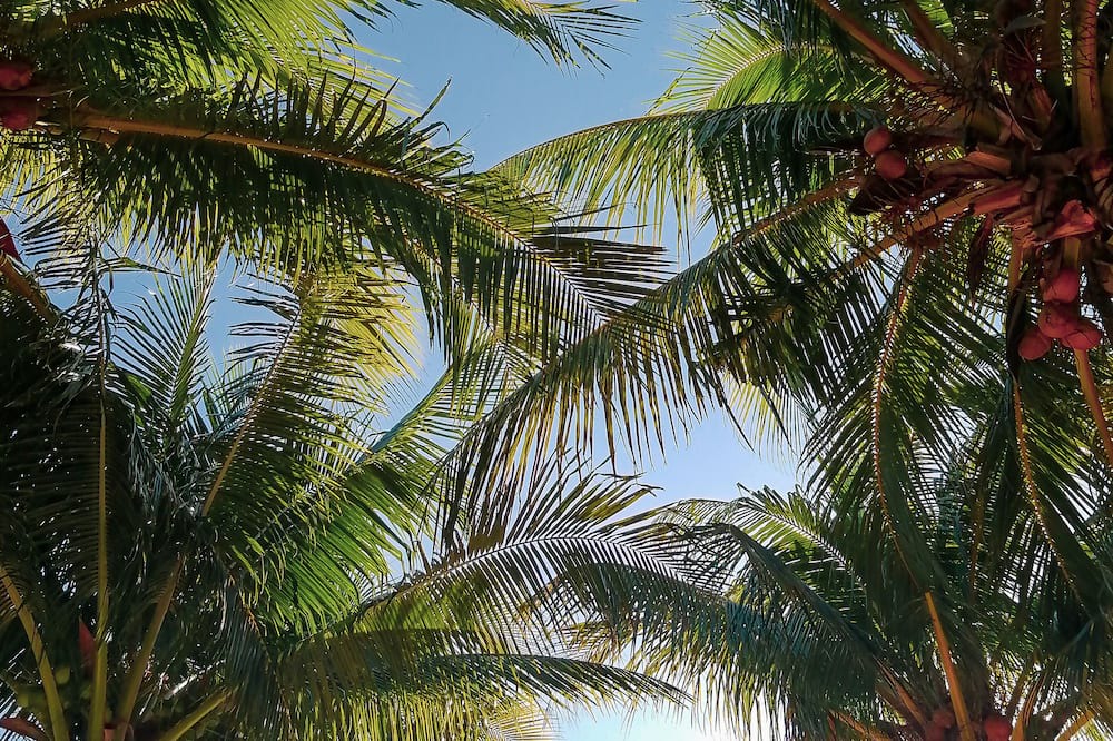 Photo of Outdoor in El Cuyo