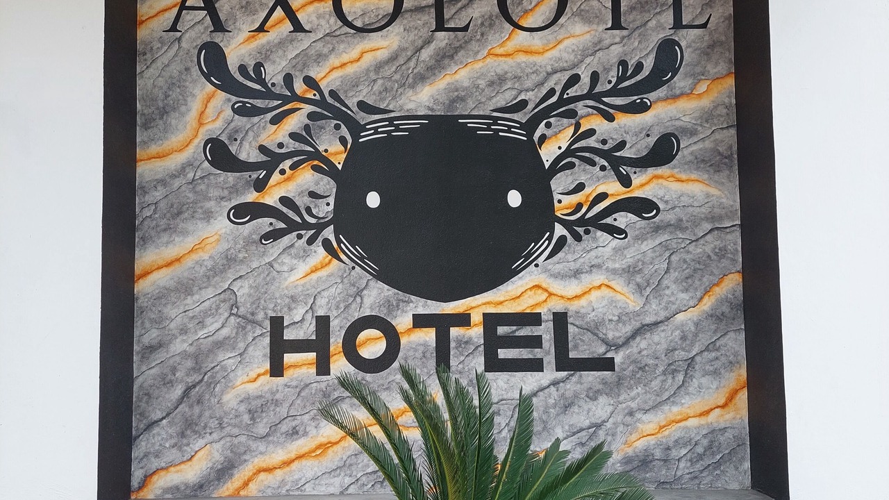 Photo of Outdoor in Puerto Escondido