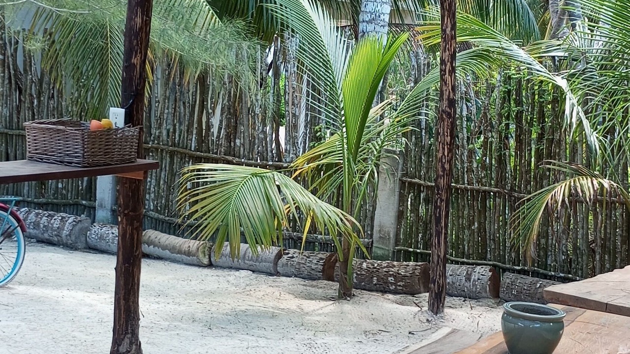 Photo of Others in El Cuyo