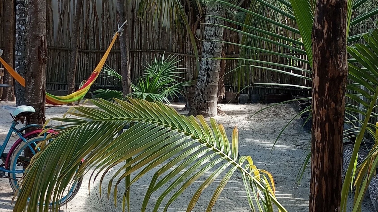 Photo of Outdoor in El Cuyo
