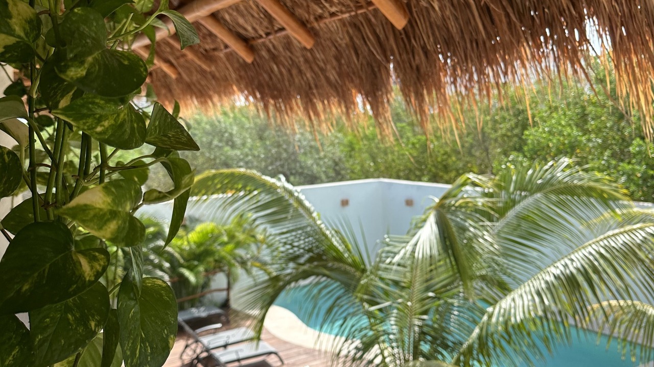 Photo of Outdoor in Isla Holbox