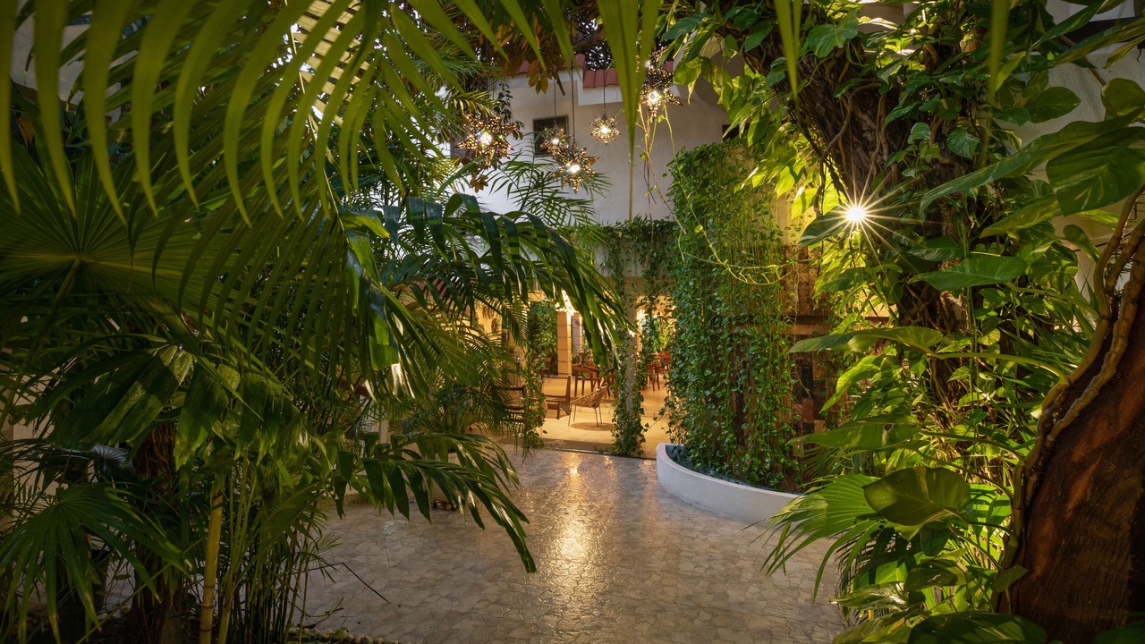 Photo of Outdoor in Centro