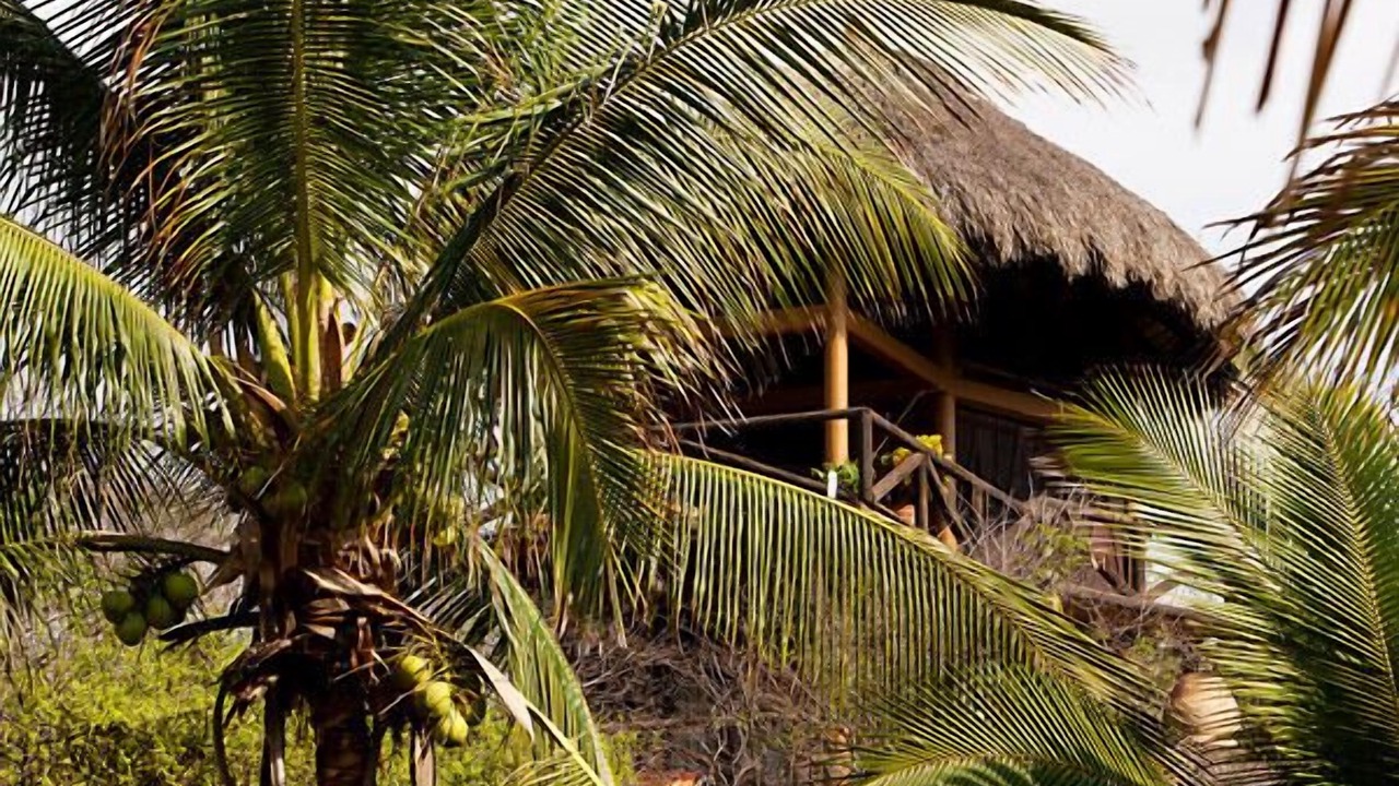 Photo of Outdoor in San Pedro Pochutla