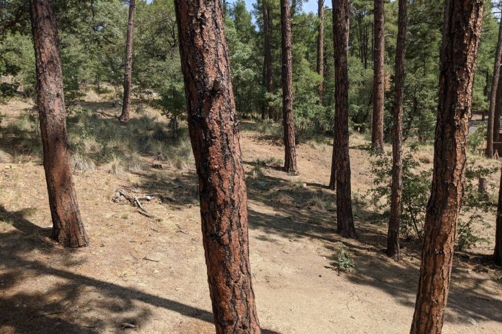 Photo of Outdoor in Prescott