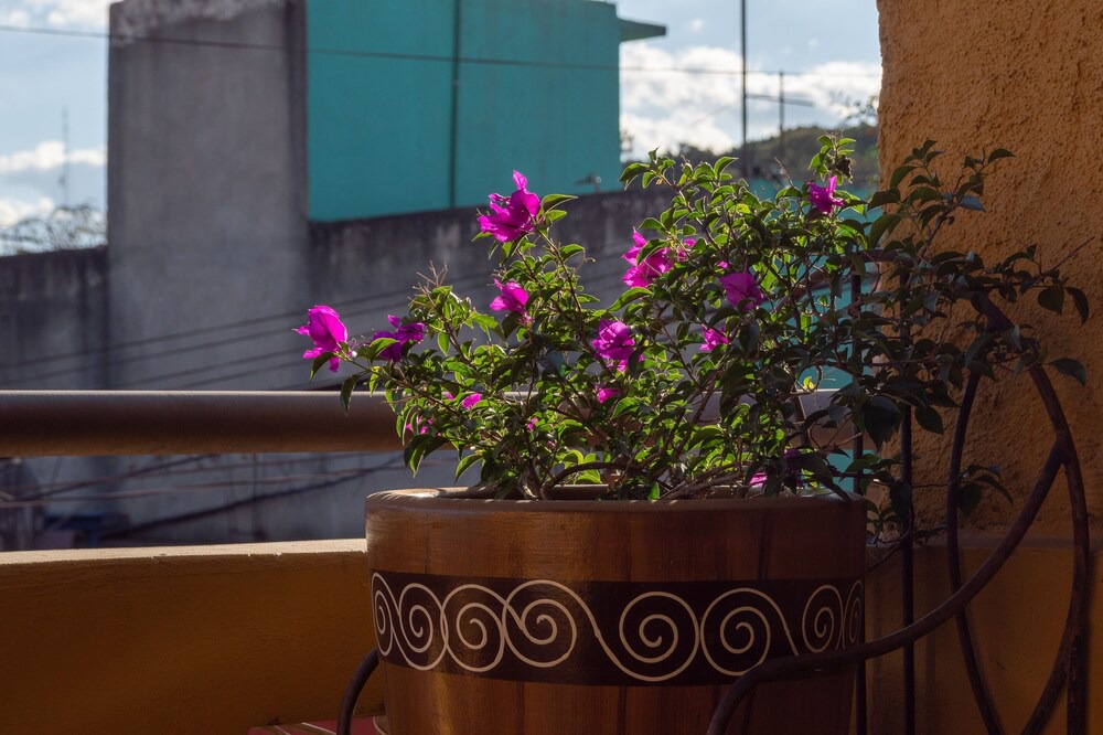 Photo of Patio Balcony in San Lorenzo Cacaotepec