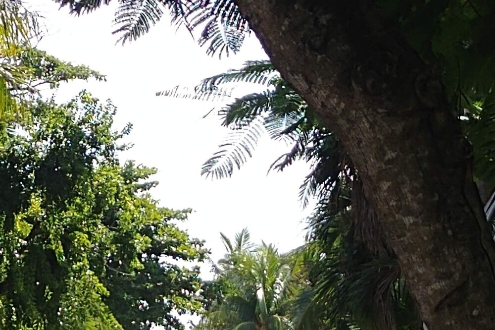 Photo of Outdoor in Playacar Fase I
