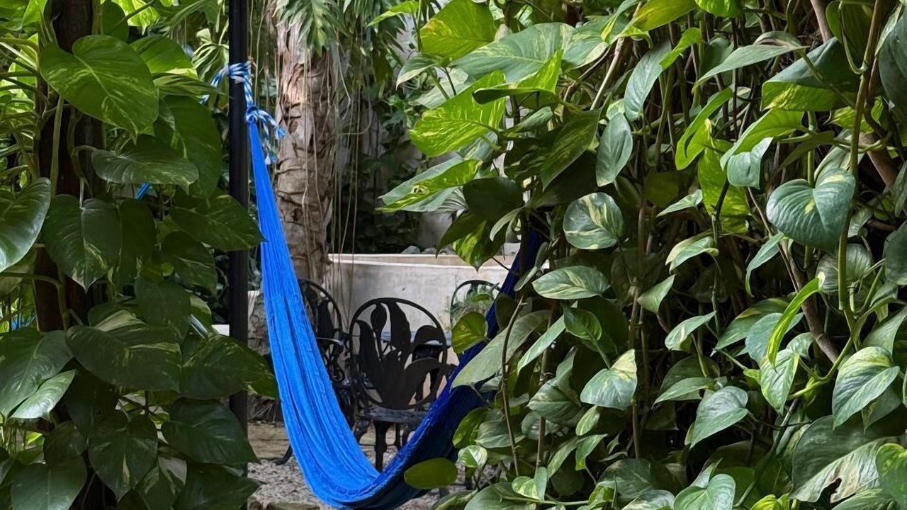 Photo of Outdoor in Valladolid