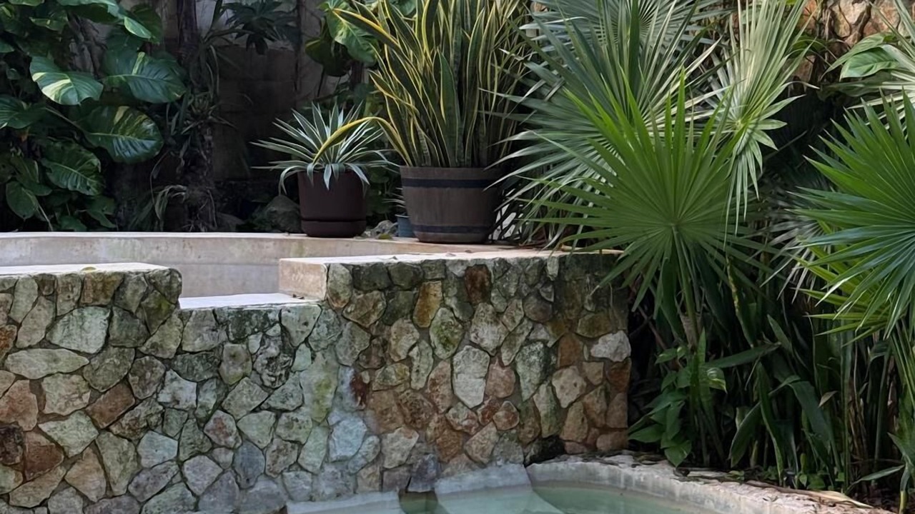 Photo of Outdoor in Valladolid