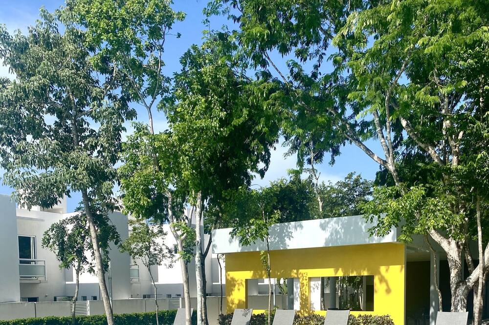 Photo of Outdoor in Puerto Juarez