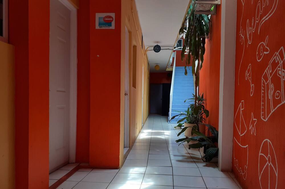 Photo of Others in Barra de Navidad