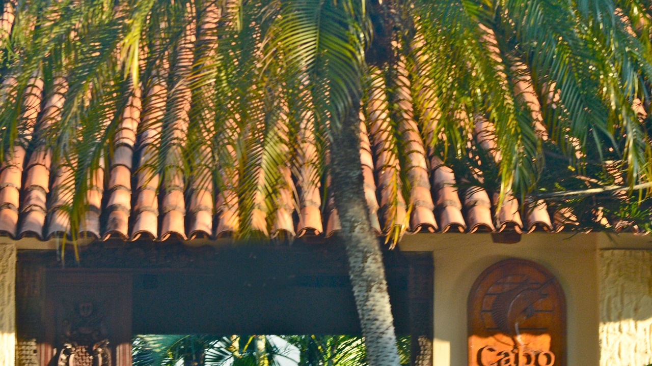Photo of Outdoor in Barra de Navidad