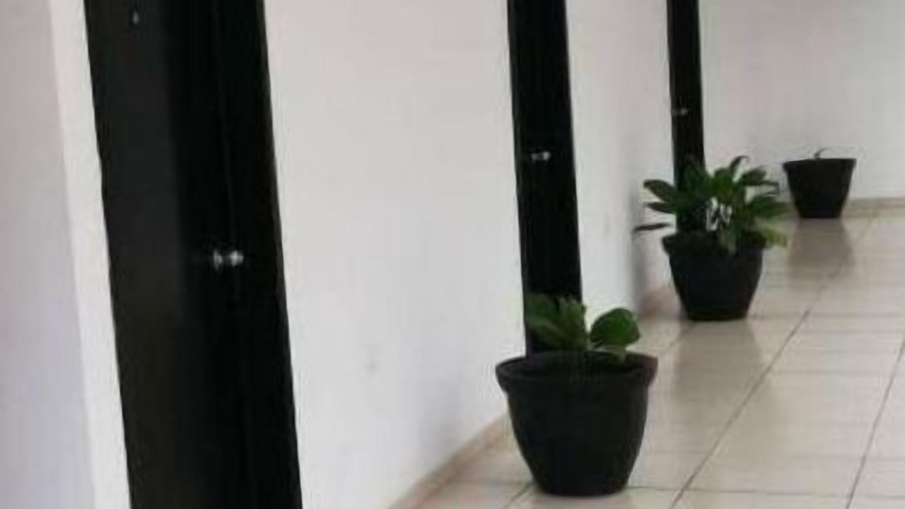 Photo of Others in Tapachula