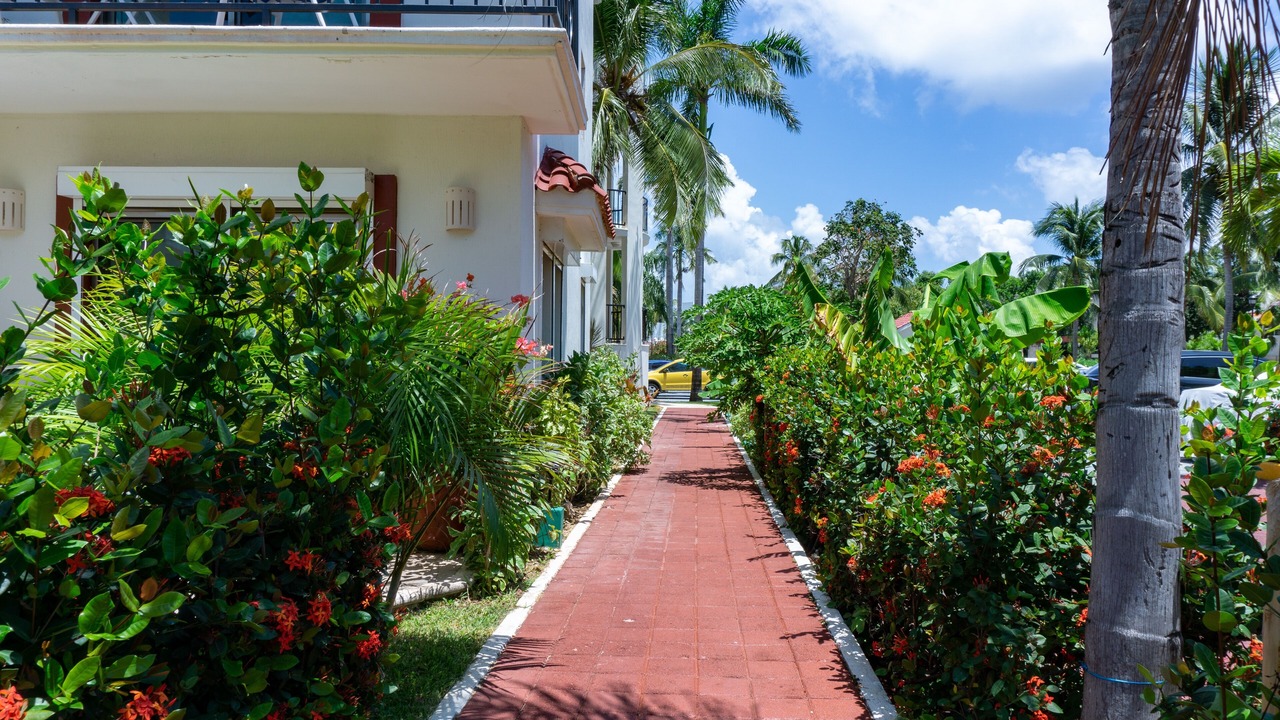 Photo of Others in Playacar
