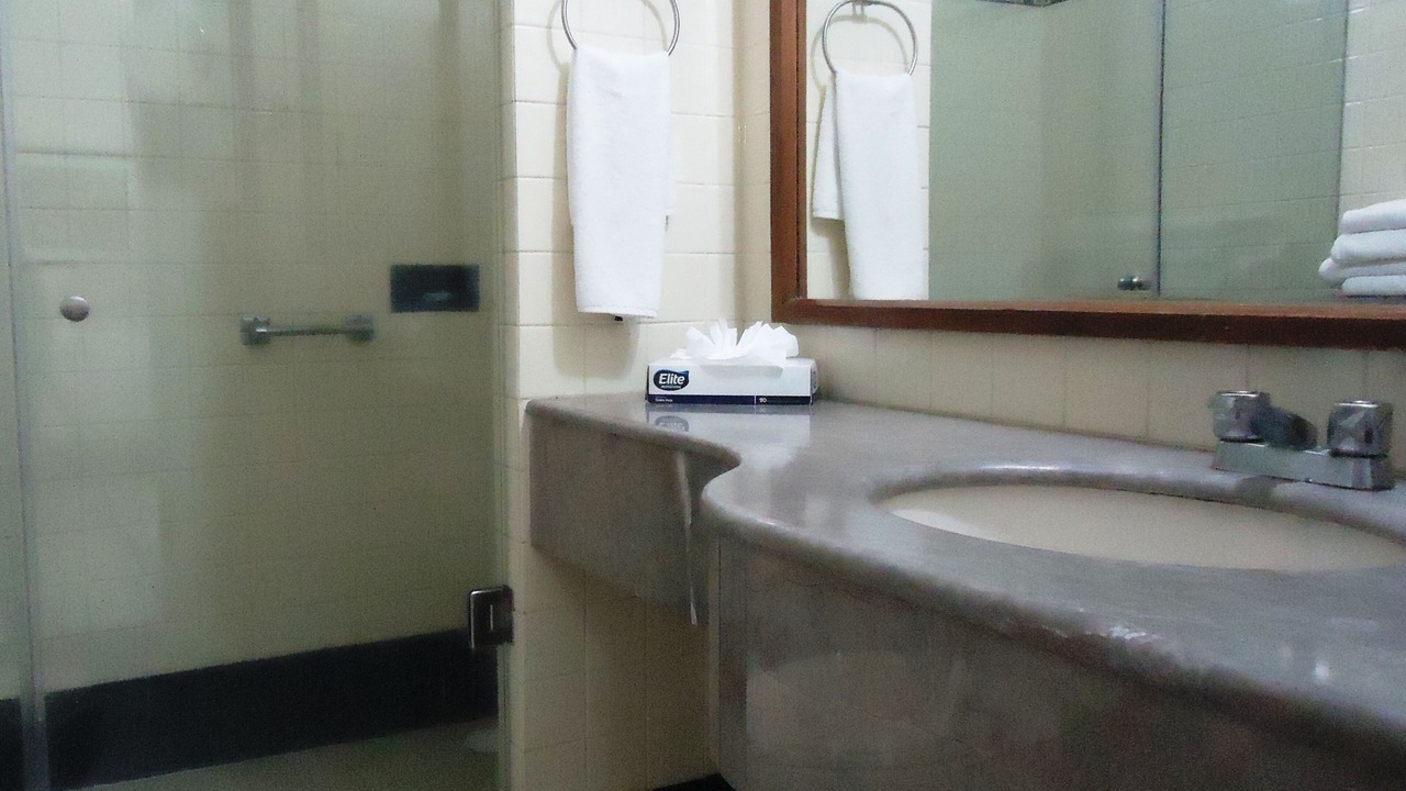 Photo of Bathroom in Centro