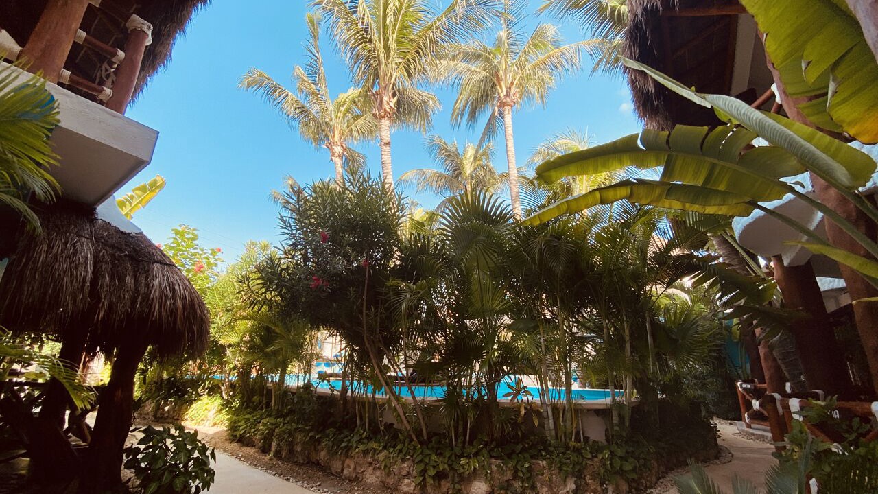 Photo of Outdoor in Downtown Holbox