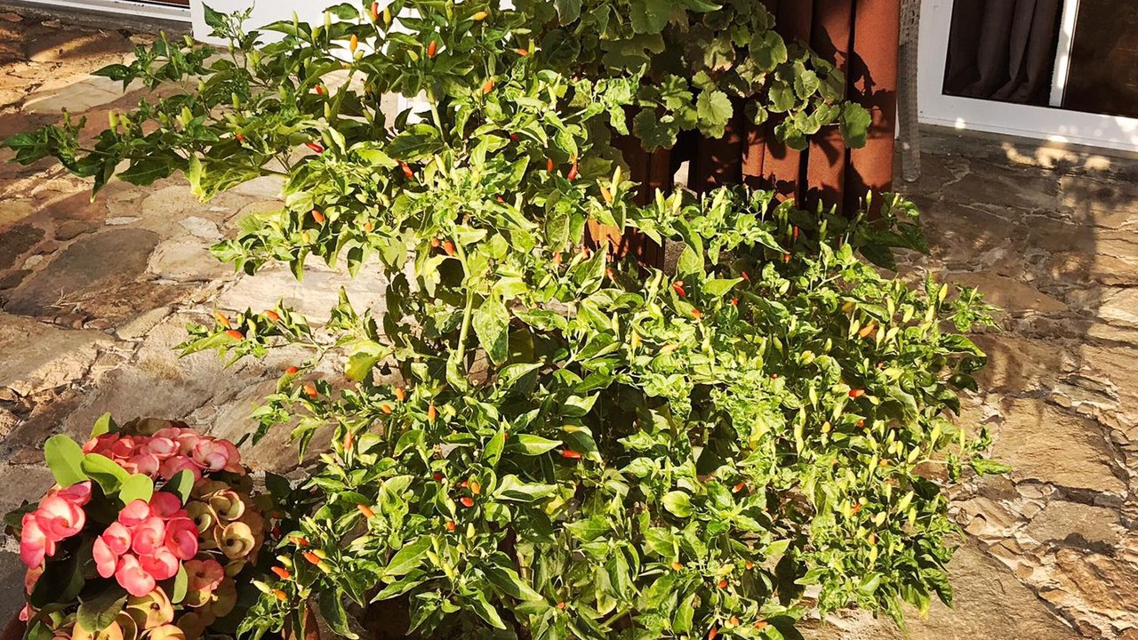 Photo of Outdoor in Santa Maria Tonameca