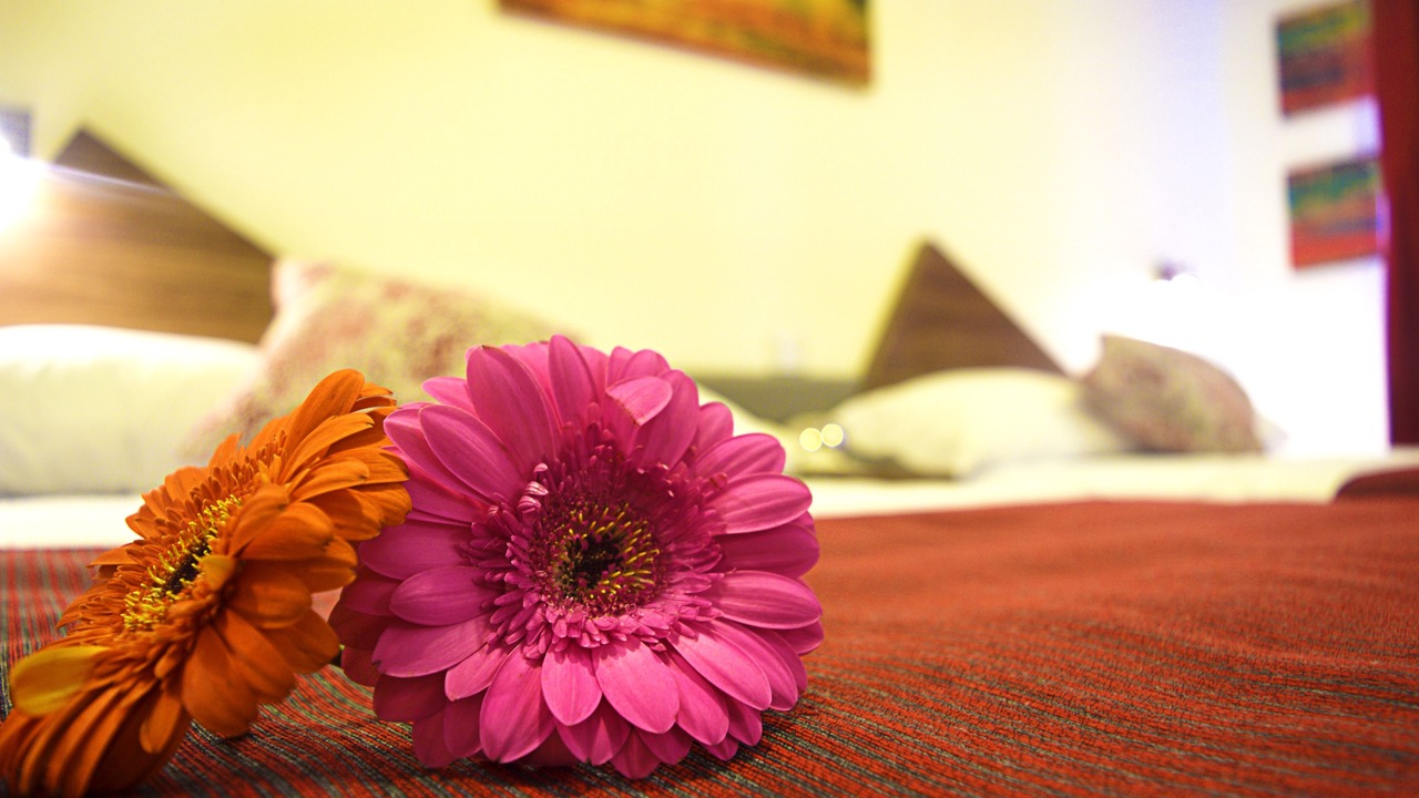 Photo of Bedroom in Xalapa
