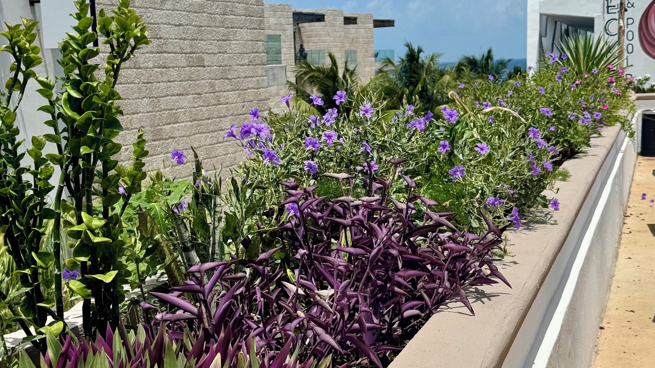 Photo of Outdoor in Downtown