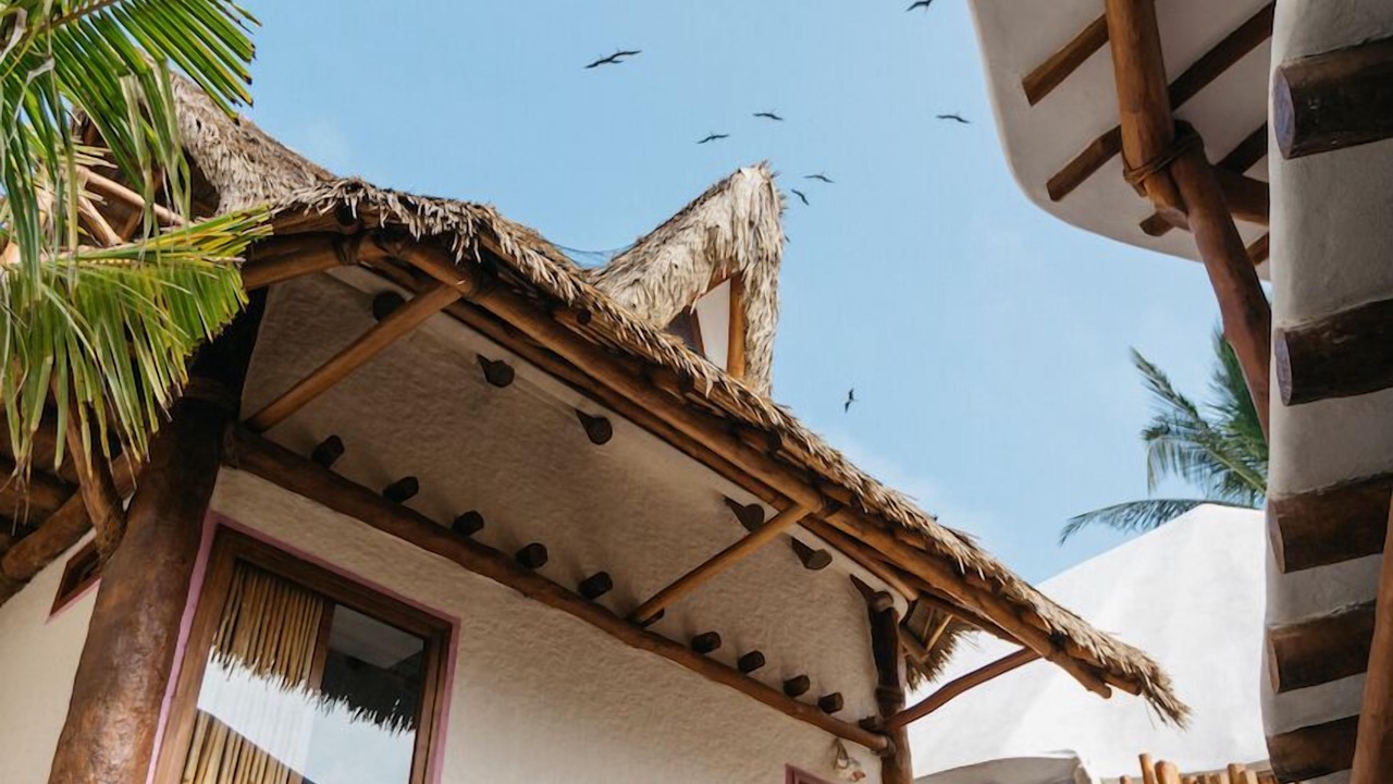 Photo of Outdoor in Isla Holbox
