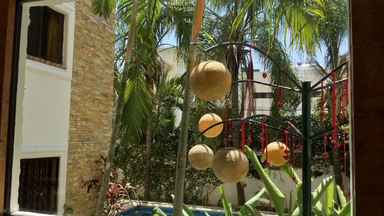 Photo of Outdoor in Gonzalo Guerrero