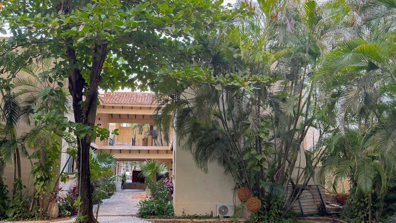 Photo of Outdoor in Centro