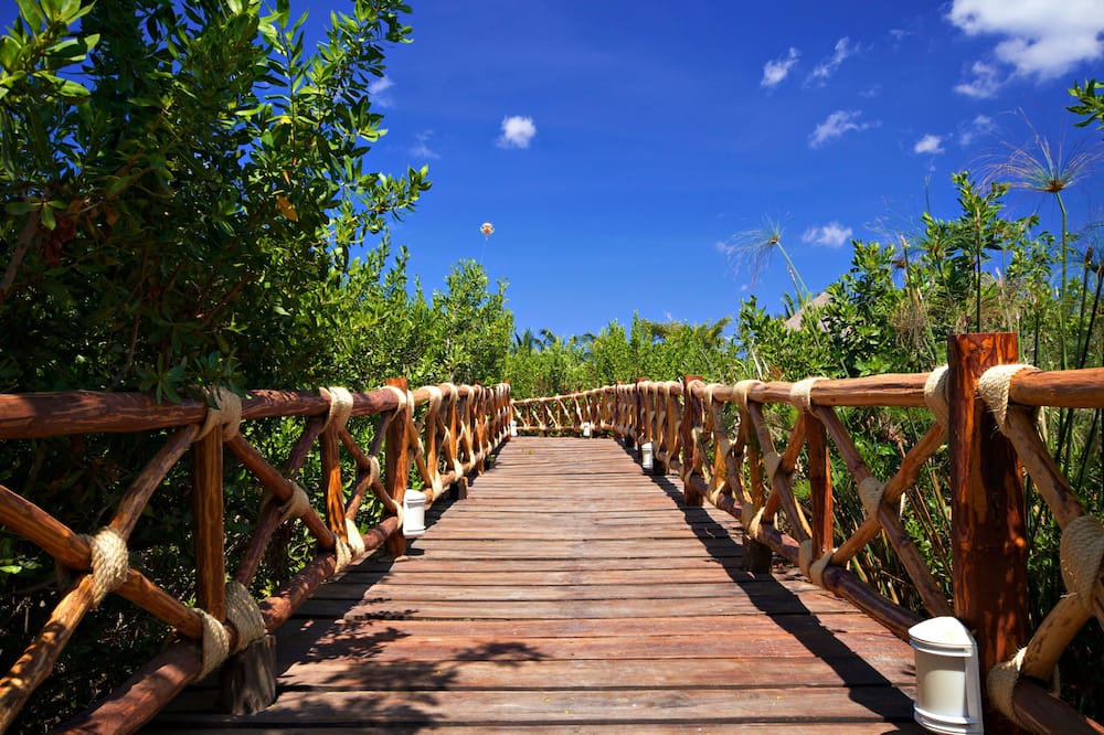 Photo of Others in Costa Maya