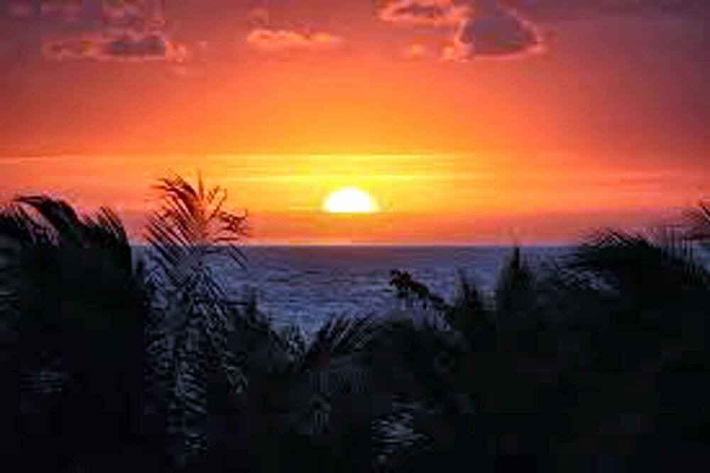 Photo of Others in Costa Maya