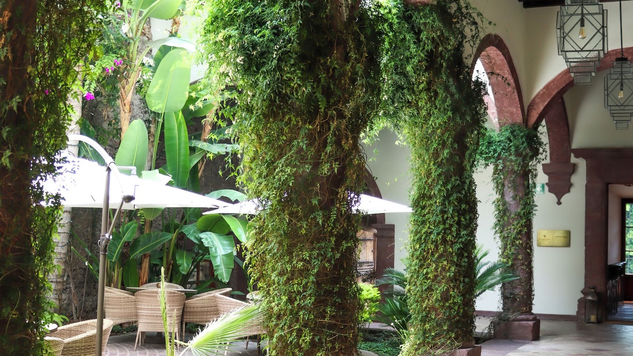 Photo of Patio Balcony in Zona Centro