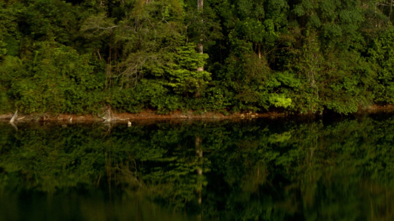 Photo of Others in Lacanja