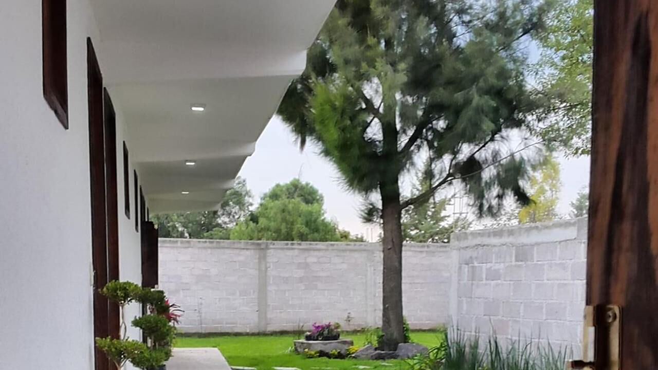 Photo of Outdoor in Teotihuacan