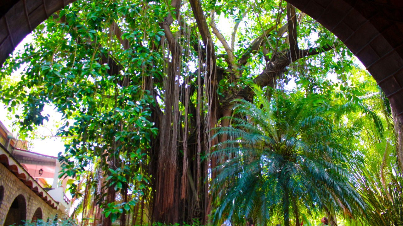 Photo of Outdoor in Ciudad Valles