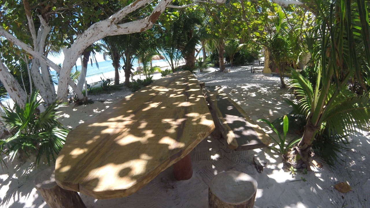 Photo of Outdoor in Mahahual